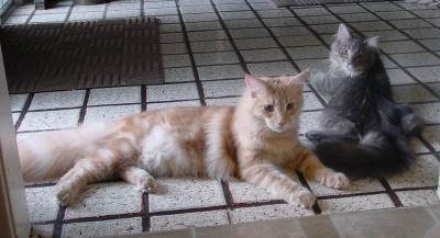 2002